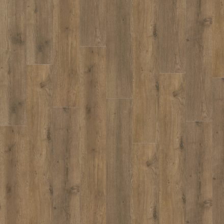 Eterna AC Major Oak SPC padló - 05855LG